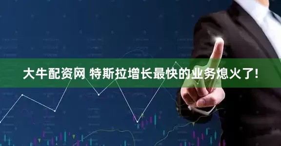 大牛配资网 特斯拉增长最快的业务熄火了!