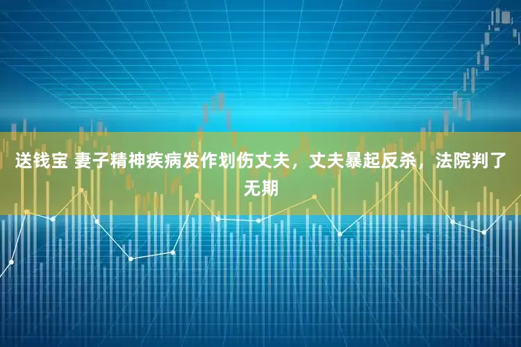 送钱宝 妻子精神疾病发作划伤丈夫，丈夫暴起反杀，法院判了无期