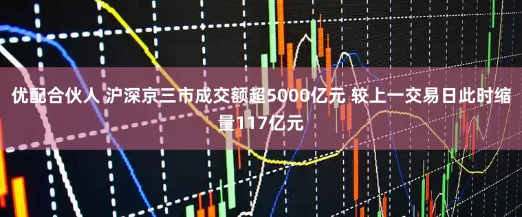 优配合伙人 沪深京三市成交额超5000亿元 较上一交易日此时缩量117亿元